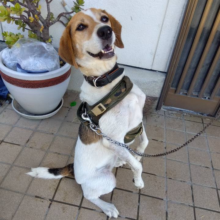 Cc55a0b8 de0e 455a 89f4 64daec7a8a38 1691637178922