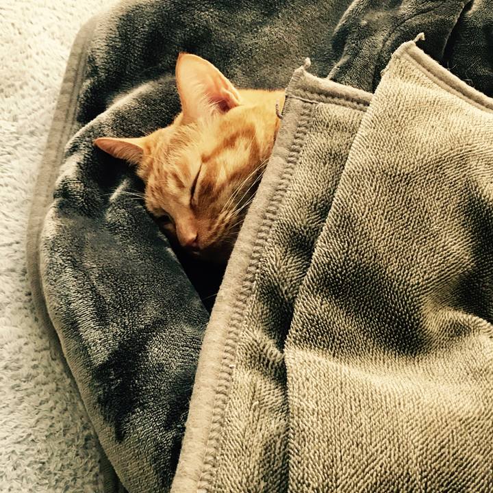 Cc55a4ec 52ea 48d9 825d 157a32059685 1609556894542