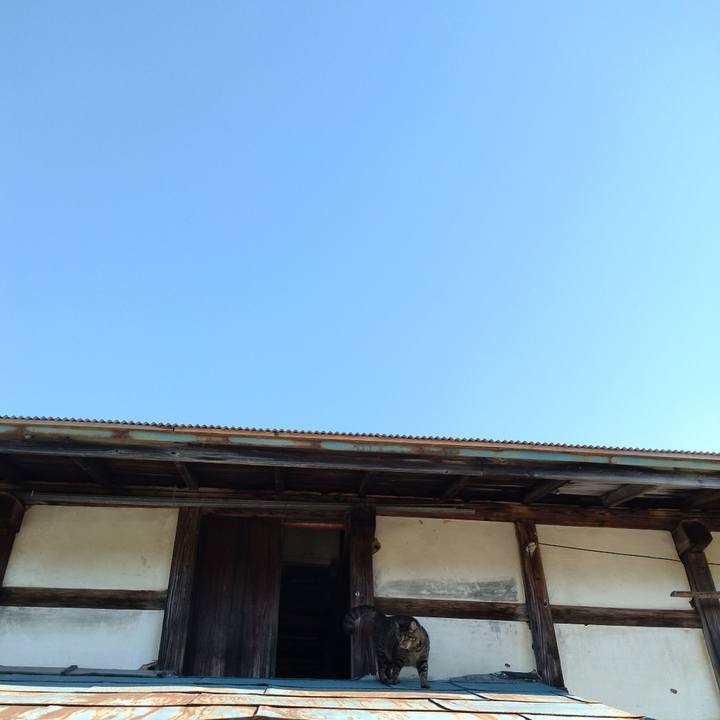 Cc55b3bb 9cf7 4049 a73c c40c5058cf24 1691710681216