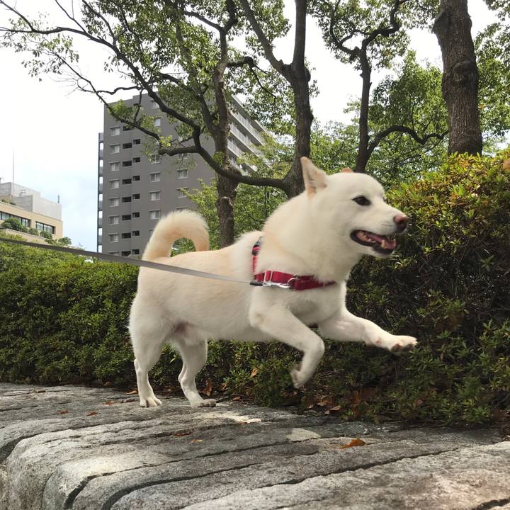 Cc55c764 8589 4929 94a4 aefca1589266 1535770426481