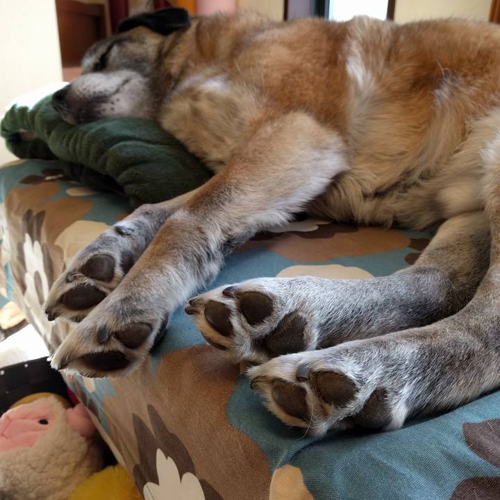 Cc55f286 b9e9 40ac b27f c85cc5a72424 1719275459242