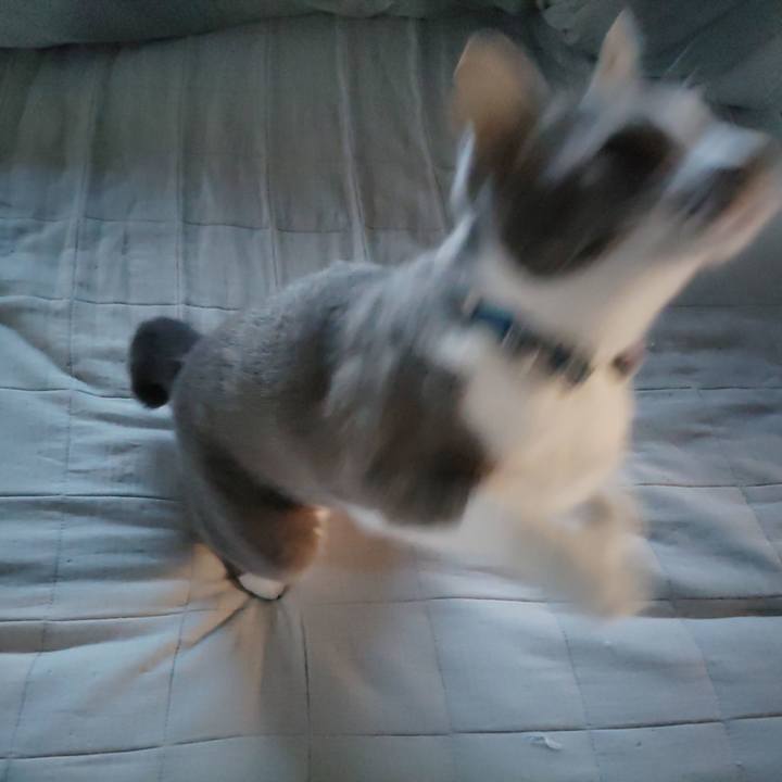 Cc561a02 b770 431d a412 3507c2c465fa 1666734660995