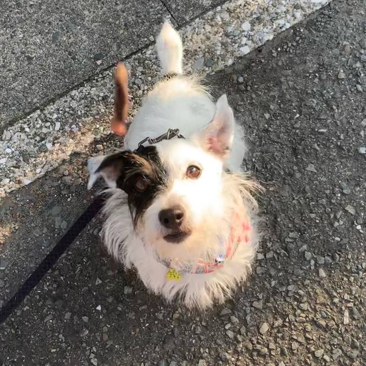 Cc564438 467c 4d4e a3d1 68b1add9936f 1660552630555