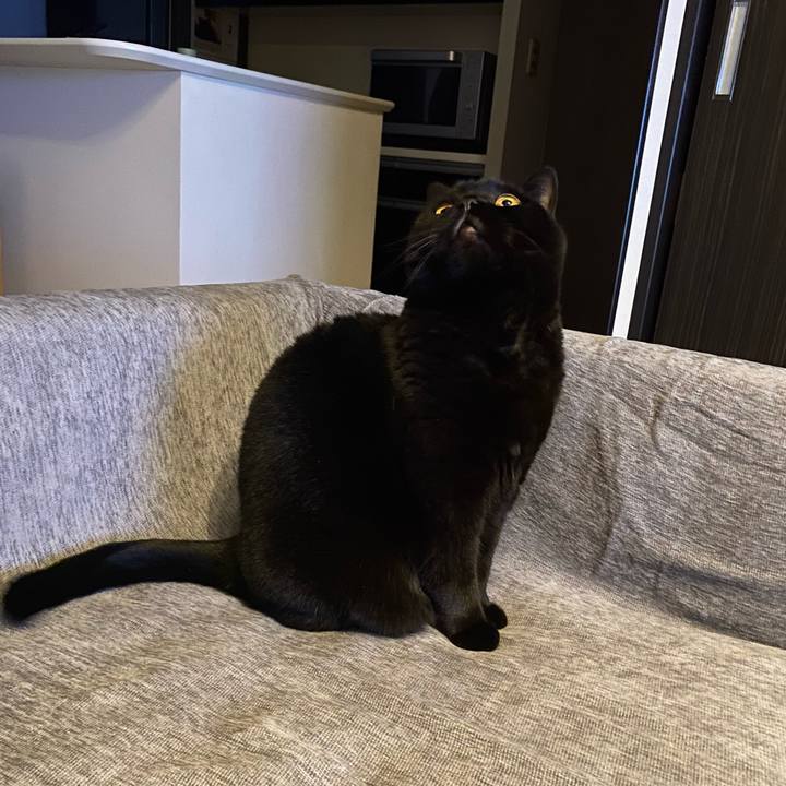 Cc5668ac 1f99 45a0 b939 866bf21c9595 1740054582380