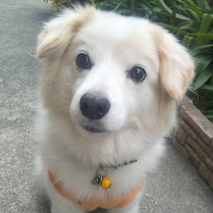 Cc568e13 9b63 404a b5a6 9ab354ceaee0 1640771712669