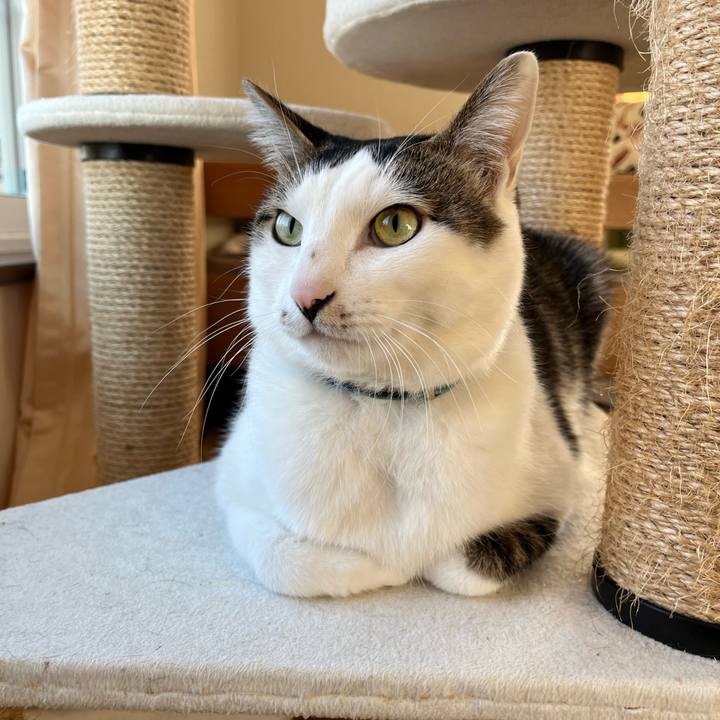 Cc56d55b 4f7d 44ec 98cc e4a5ae0fe922 1640601943402