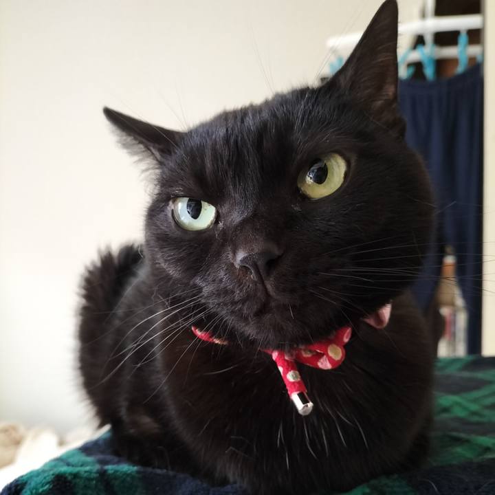 Cc574441 39a9 4345 aea2 d39eec7e7370 1645742424802