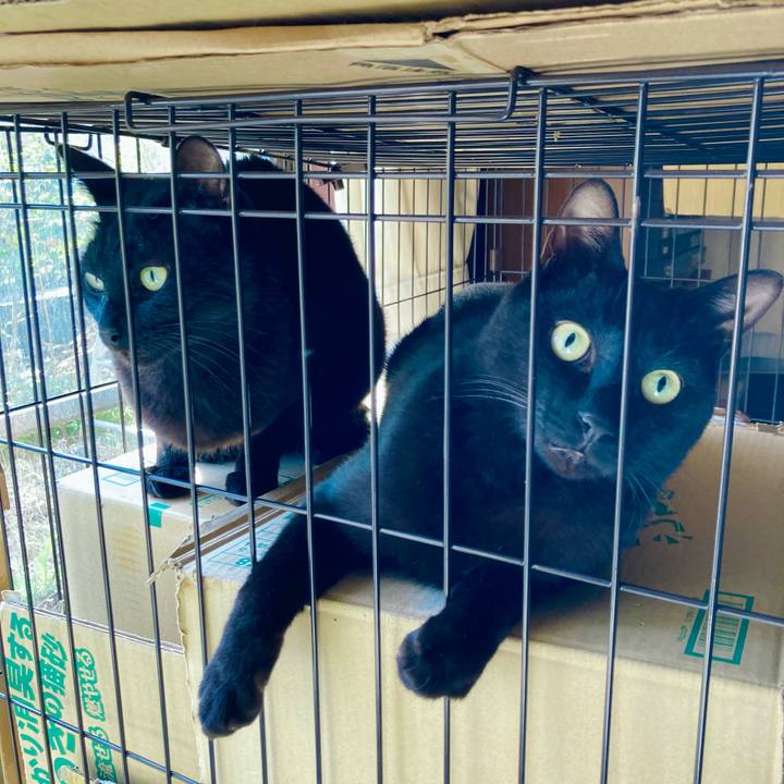 Cc574453 ed46 46ca a279 a54316963540 1712039109531