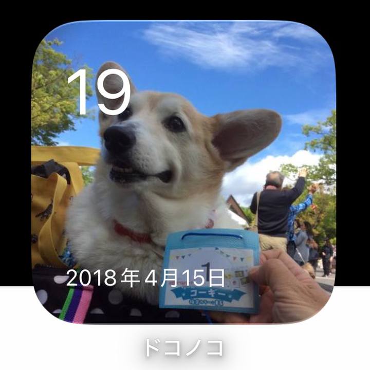 Cc575e30 0d9b 4488 bf1c 7fe79245dee7 1776567901611