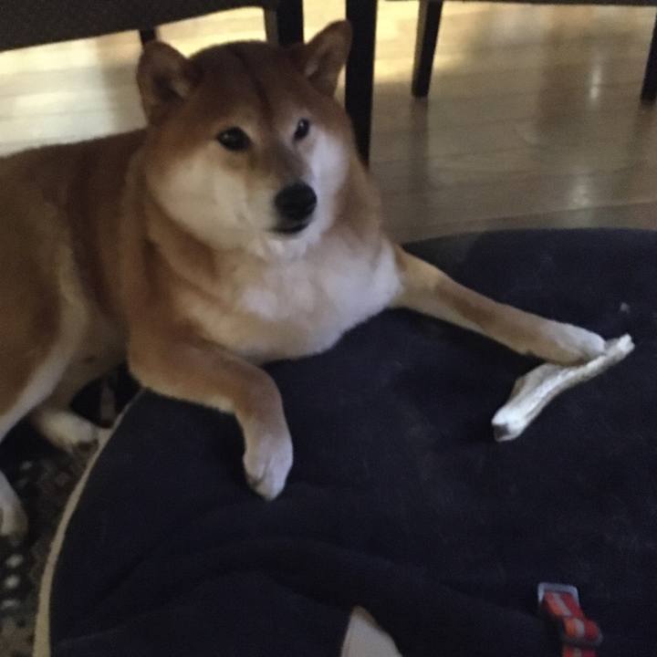 Cc57661e e59d 4ee6 b537 7d5452b77efc 1587990366232