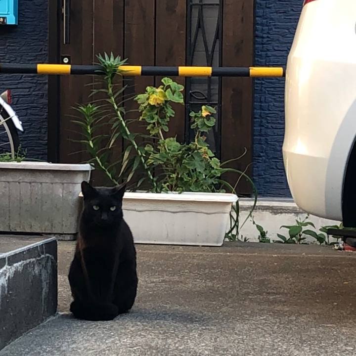 Cc57aac3 0a4f 4f4e 8e09 892d8f229a5e 1558180942083