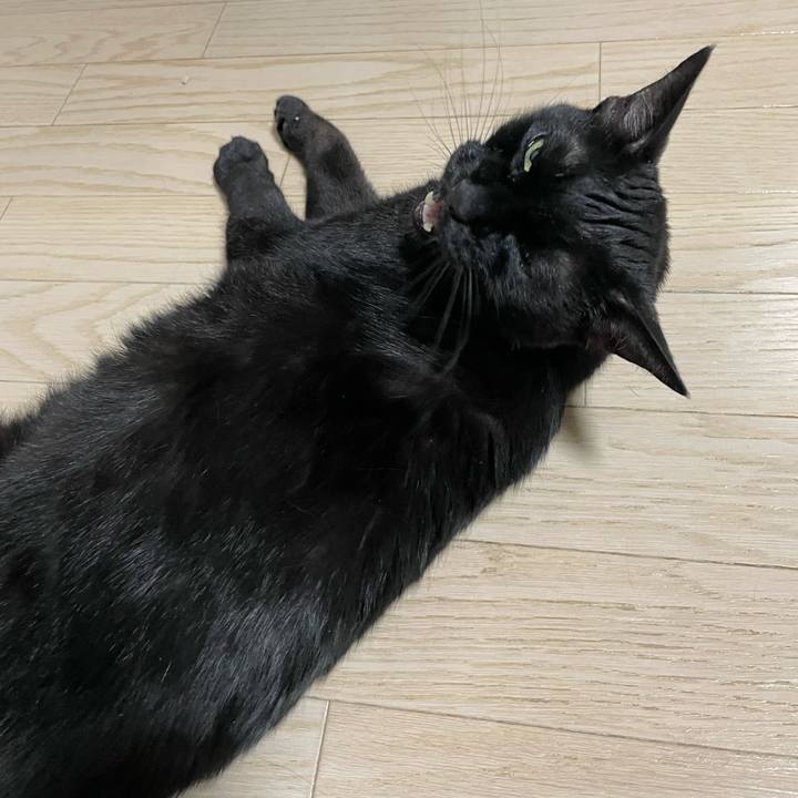 Cc57ae84 8144 4161 b152 f919075d1535 1751028374768