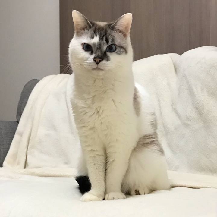 Cc57bbbd dbb1 4029 bdec 6725c9346d94 1549588119149