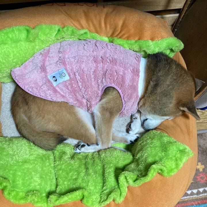 Cc57d84c 6099 4faa ac13 e508f7dd82f7 1766665796009