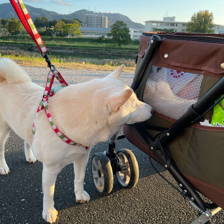 Cc57f63c 1190 409e a9ef 8944f3972733 1665839946130