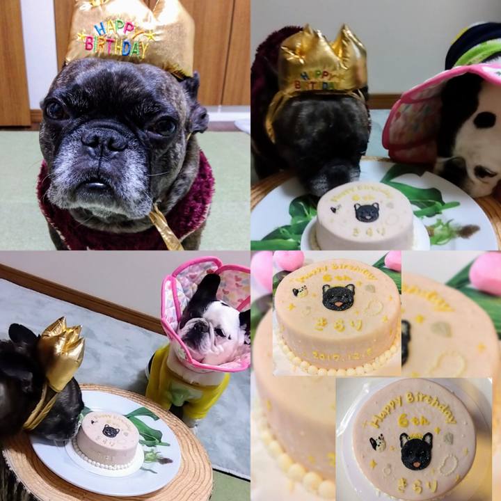 Cc57fb1b 1c68 4552 aceb 2598788c59cc 1701741668394