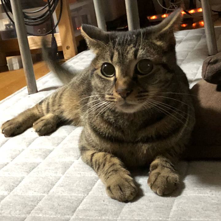 Cc58031f 68ac 48b3 8ff8 7b9d5ba0f634 1519657023544