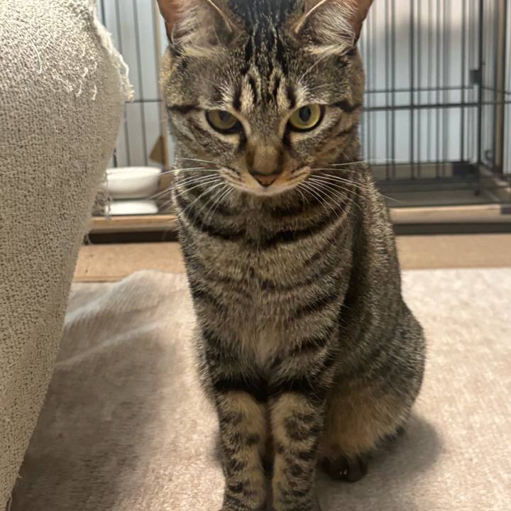 Cc582c2f 1310 42ec 8922 05e70c676b5b 1759886159107