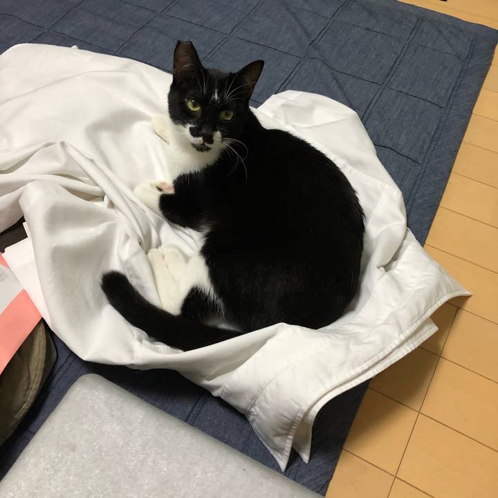 Cc584399 1728 4397 be91 daf027010492 1537463828083