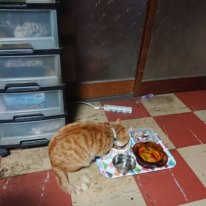 Cc584f2b d3f6 4d59 a7c5 67fcfe2d1f9d 1588190065244