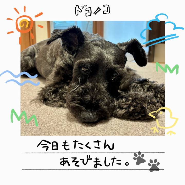 Cc58635e 3768 4117 bbc4 91162ae98ac9 1755128088736