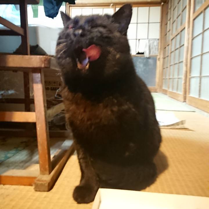 Cc586ea9 c23d 4490 8a67 9b7a983ae83f 1616236569846