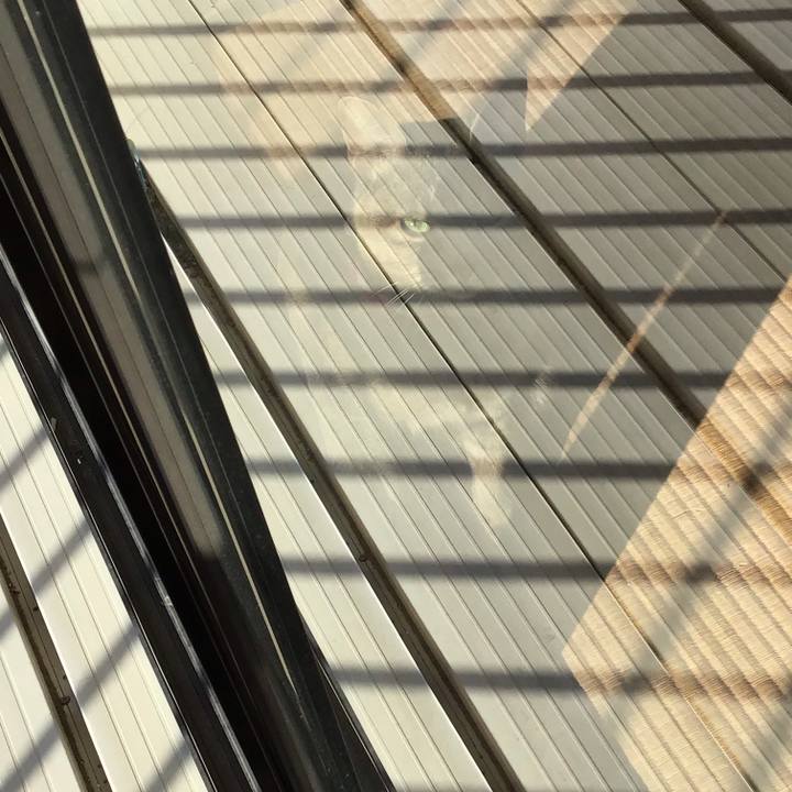 Cc58b39b 4052 4f59 807c a0ba2479b0bc 1608336999662