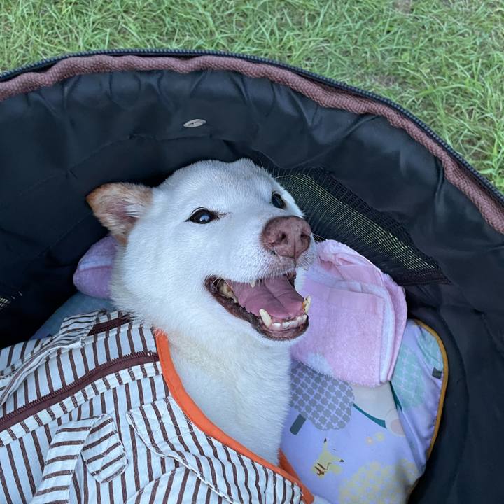 Cc58f735 e5d0 4708 a8a3 20e2ecd267ea 1660219680854