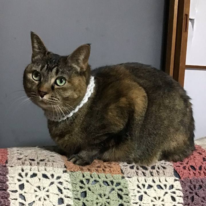 Cc596572 ad8a 4bd9 9c30 7ed3e81a4c0b 1739878503669