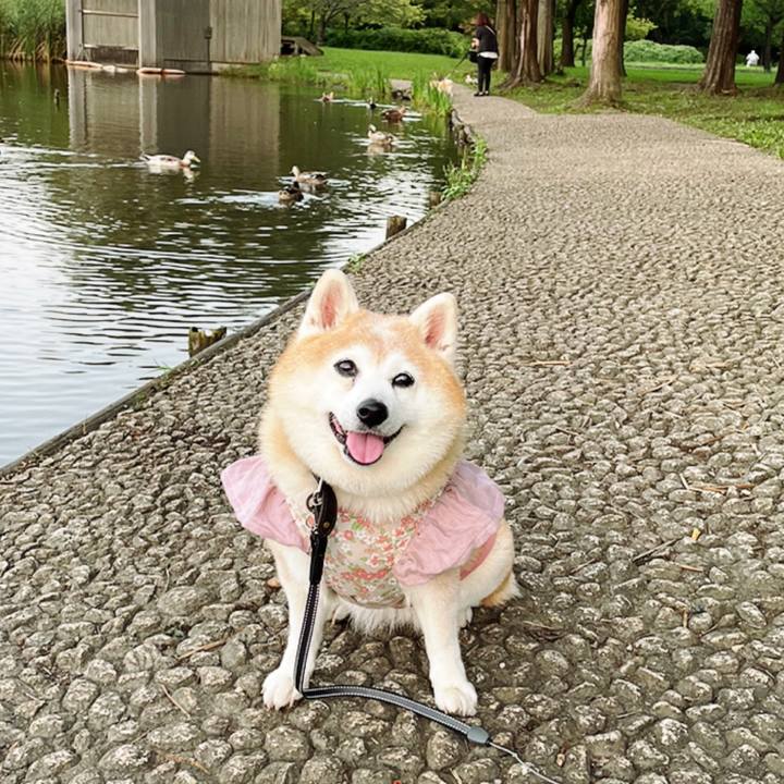 Cc59a0b6 e0a4 491a 9d1f 74cb810c98e2 1633225288649