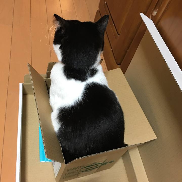 Cc59bea8 91eb 439a 9917 a82cb3f796a5 1513520787397