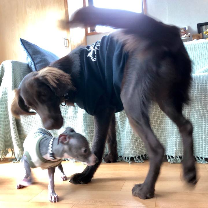 Cc59d160 bac1 4804 b374 e2ac2ee62198 1565778330287