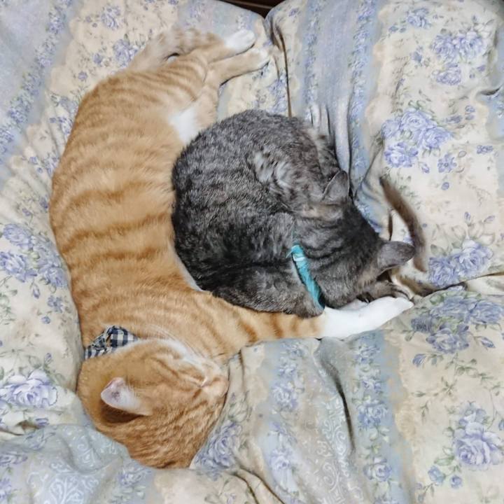 Cc59da5e 5c54 471a 8dfe 7baa1455a2cf 1604924647610