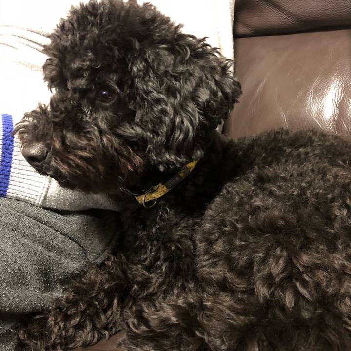 Cc59eadb a88d 46f0 9ead c8a6e6ad3932 1508158402952