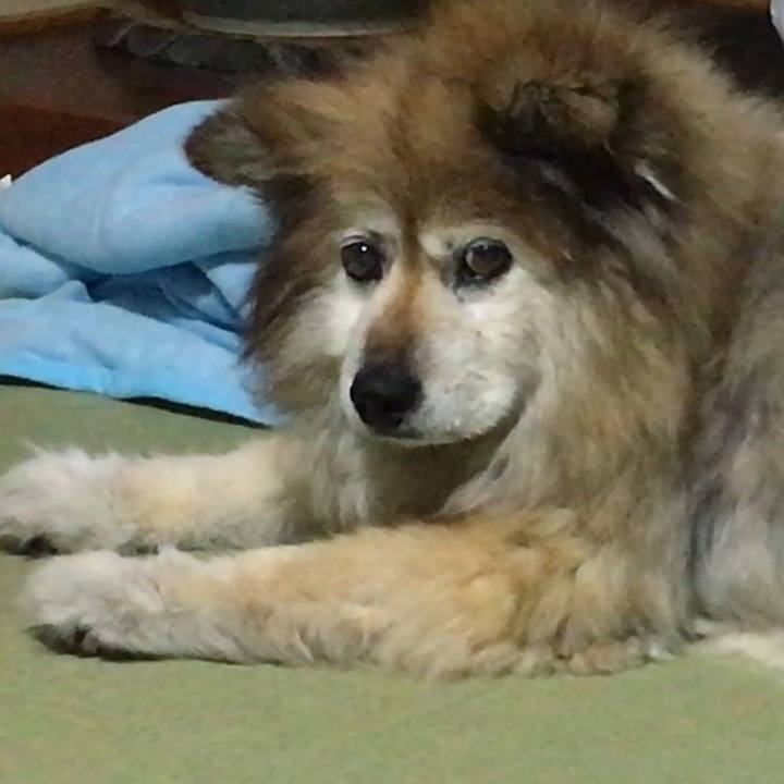 Cc59ec97 ccfe 456e 91b5 143af18361c4 1597218104529