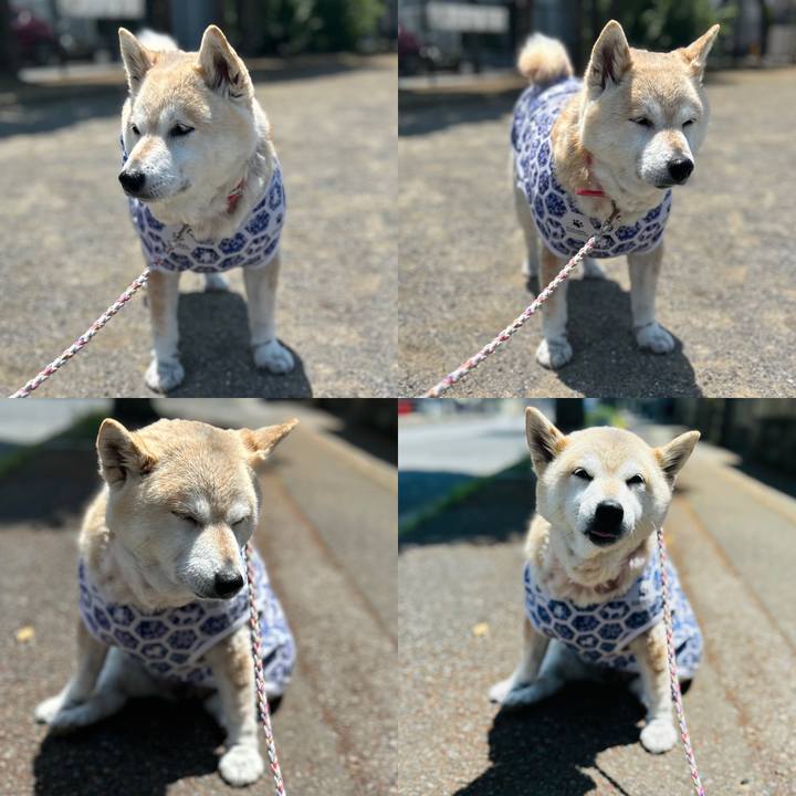 Cc59feea 22fc 4ff4 93fc c1485af430b1 1747106422427