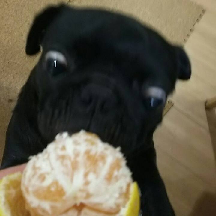 Cc5a2765 a7d6 4fd8 b54a 17792aea322e 1538312206214