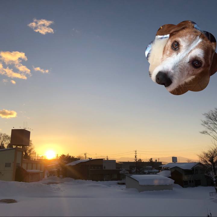 Cc5a411f 05fb 4bcc 8622 f9c0a20b3f0b 1547677739551