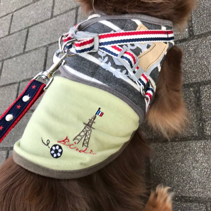 Cc5a9d08 0581 42e7 bb12 bb2eb586ef14 1531696786749