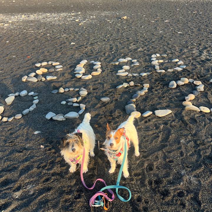 Cc5ab02f 90a7 4812 b7ea 0d7885b023a7 1774146430412