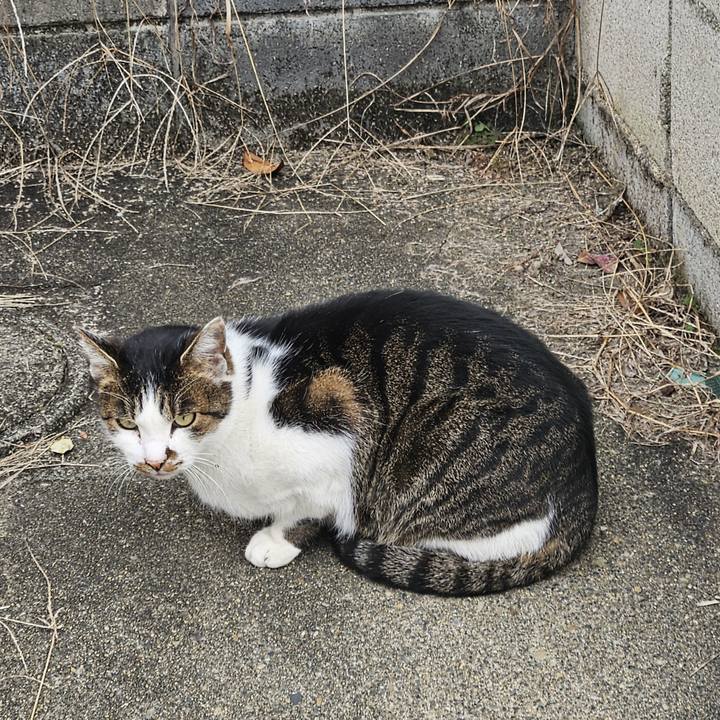 Cc5ae151 5943 4a8f 936f 6b000c6f4987 1734059303669