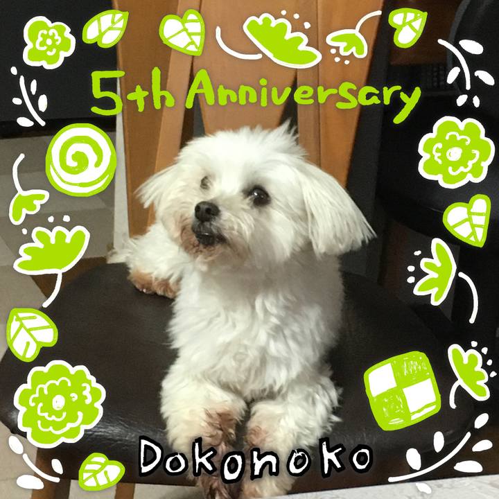 Cc5af512 ae7d 4c2b 9368 53dd6a8d393f 1622874540203