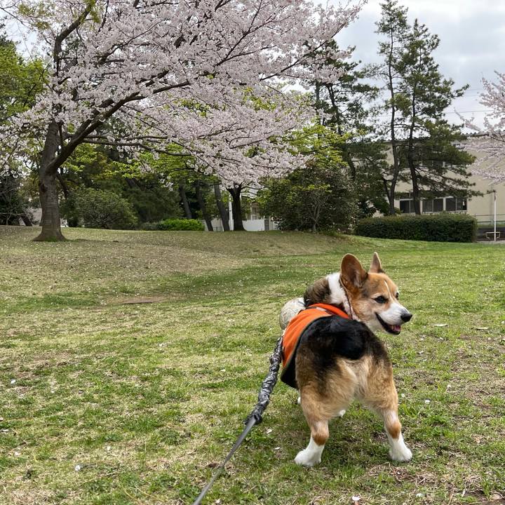 Cc5b04bf 995c 4464 814e b19cd8fea69b 1763964729965