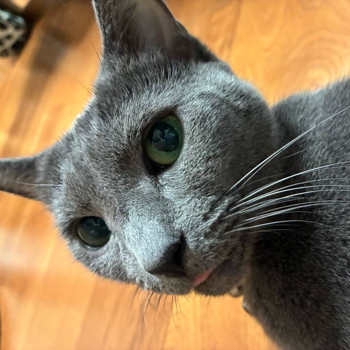 Cc5b972a 0e72 4049 9b50 a332ea4eb167 1756424998008