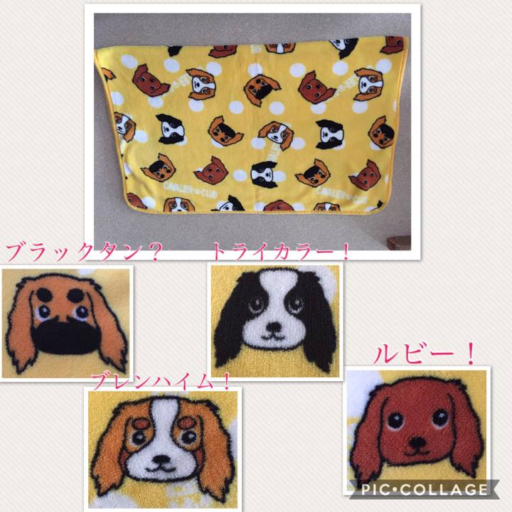 Cc5bd5f6 2a2d 4ea4 ade8 6a8cffd3fd5d 1530770098997