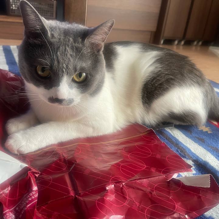 Cc5c192d a76e 4e61 af8e bcc990dea222 1632355416557