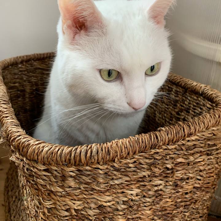 Cc5c2386 c0ea 4894 9102 35ef8df96271 1601801943968