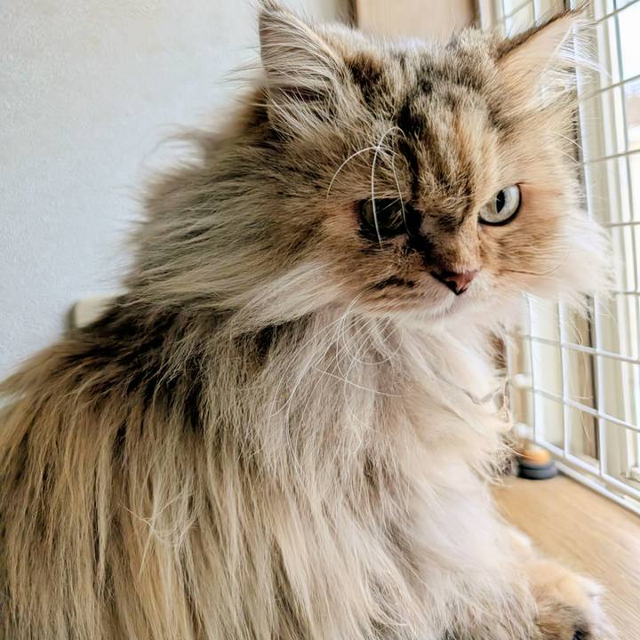 Cc5c2a64 72e5 4f1a 90f6 510ab5d9f334 1739575721513