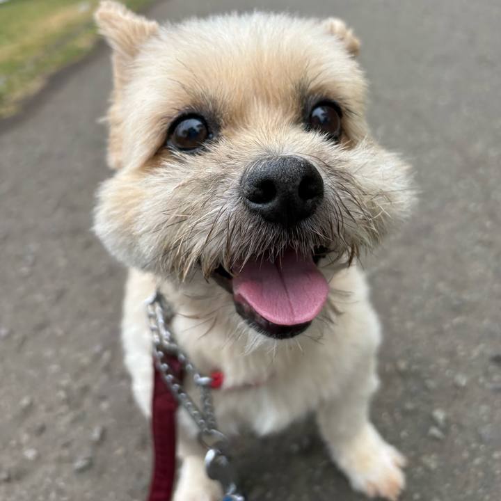 Cc5c31c2 03e5 44a9 b2da ff7ac47c4bfd 1751189903206