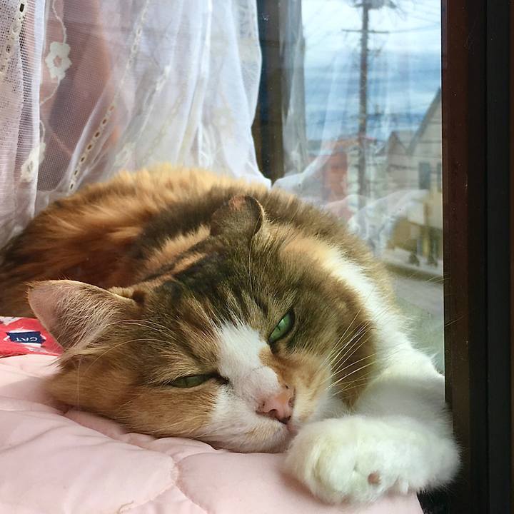 Cc5c4ec8 8c4d 4a8c 996b ac666b15667d 1601973477821